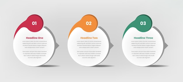 Three steps modern infographic data presentation in abstract oval shape