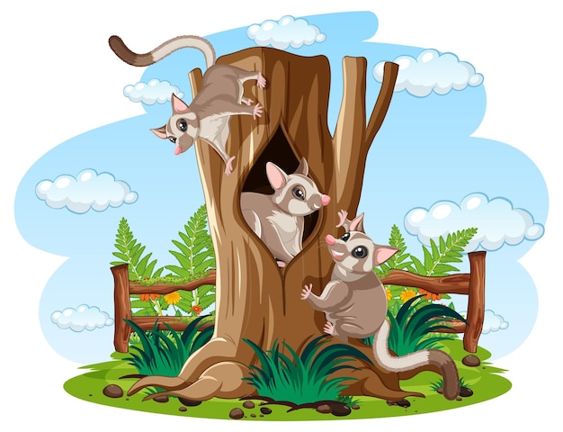 Three sugar gliders climbing wood