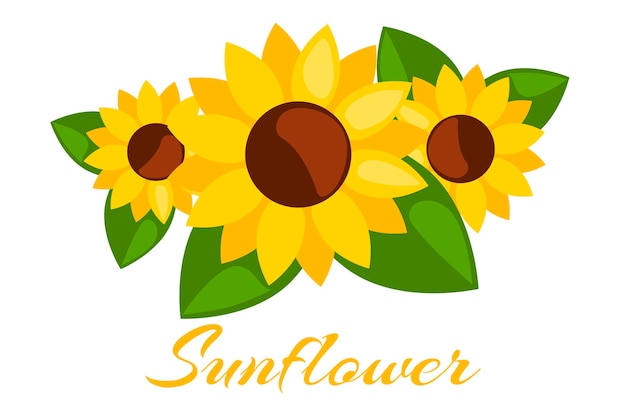 Three sunflower isolated vector flower Sunflower closeup