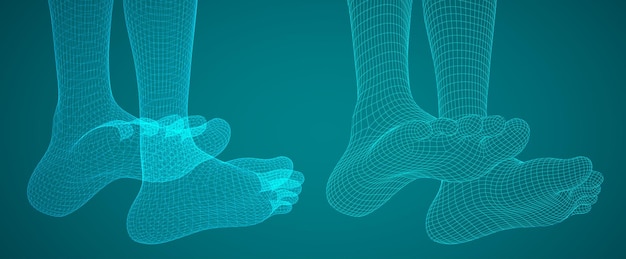 Threedimensional female feet vector template