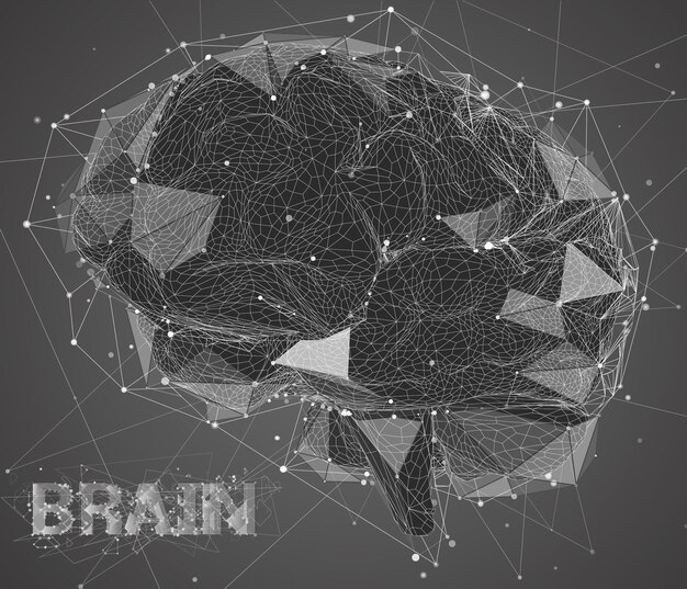 Threedimensional vector cyber brain neural network megadata processing