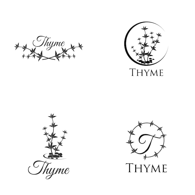 thyme line vector illustration garden isolated icon collection