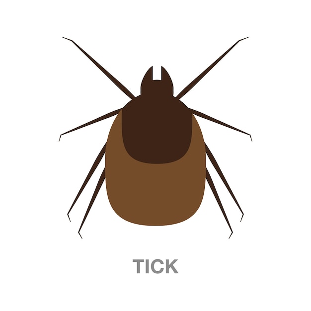 Tick illustration on transparent background