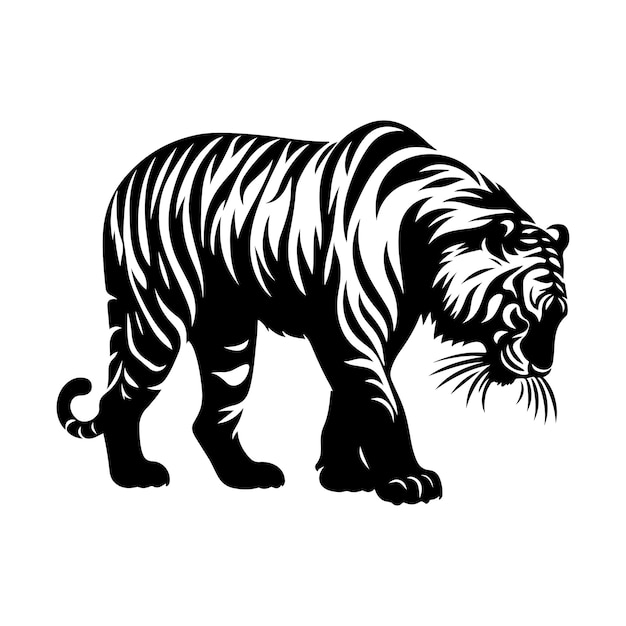 Tiger 03