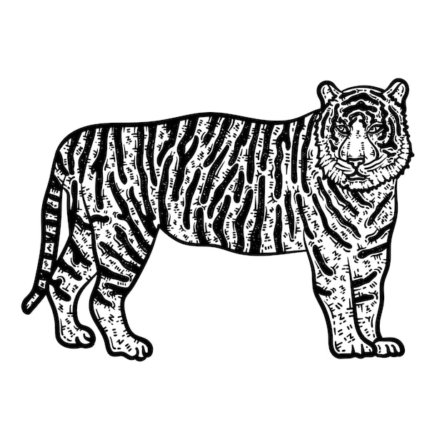 Tiger Animal Coloring Page for Adults