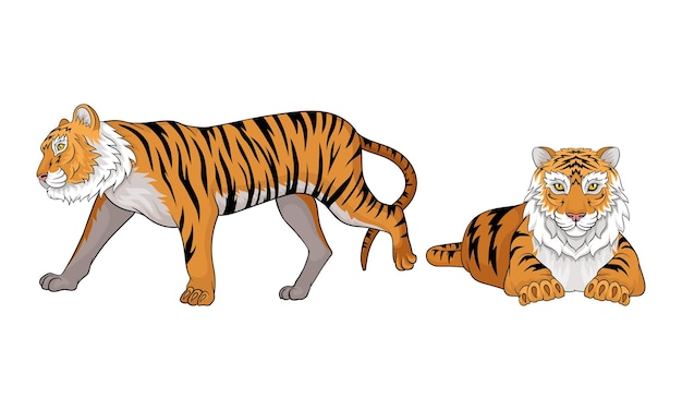 Vector tiger as large cat specie with dark vertical stripes on orangebrown fur vector set