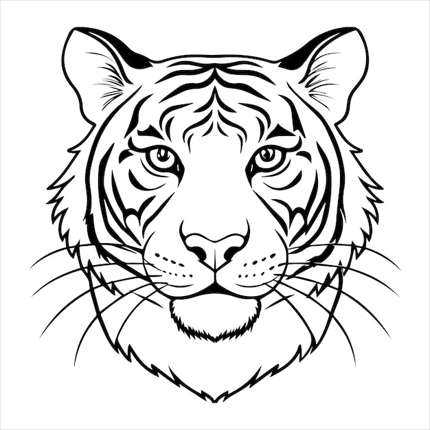 tiger coloring page