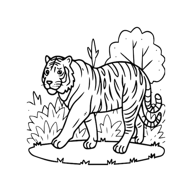 Tiger coloring pages Tiger line art for coloring pages Tiger outline