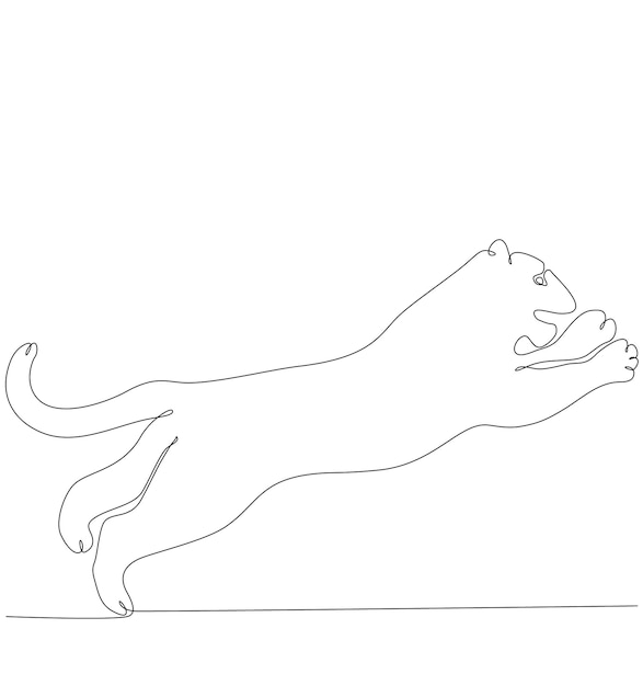 tiger continuous line drawing