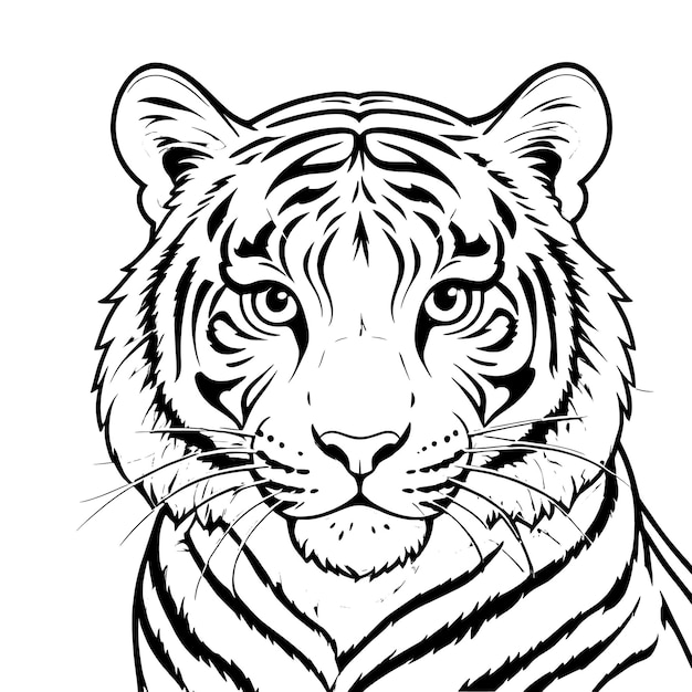 Tiger face coloring page and outline vector design