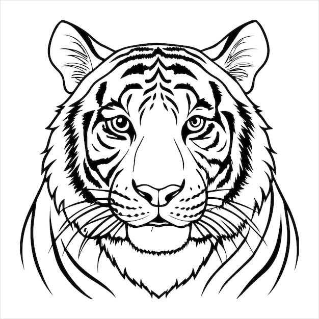 Vector a tiger face drawn on a white background