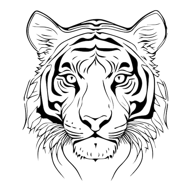 Vector tiger face outline