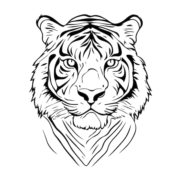 Vector tiger face outline