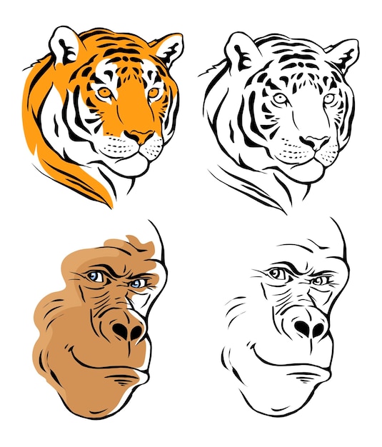 Tiger and gorilla head illustration