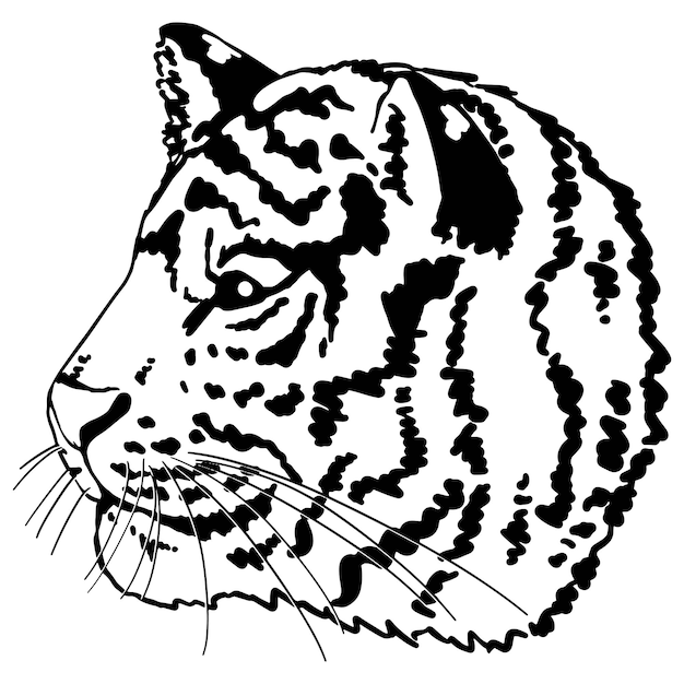 Tiger head profile. Vector illustration portrait of wild cat. Monochrome retro ink drawing clipart isolated on white. Eastern calendar symbol of year.