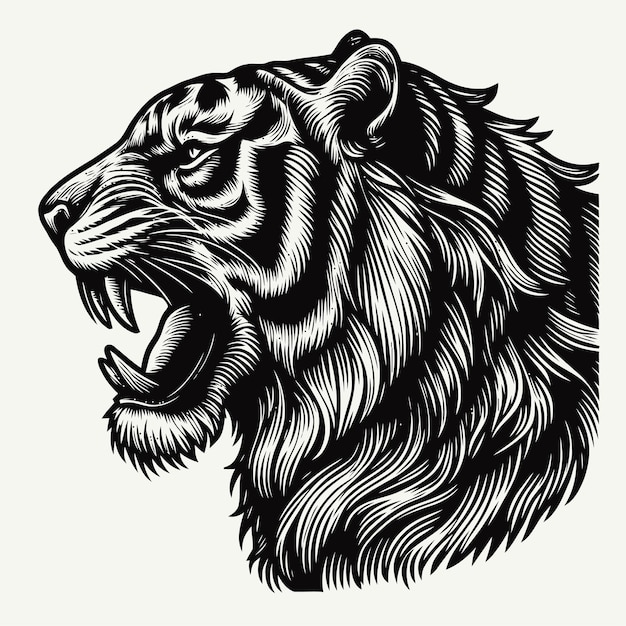 Tiger illustration with engraving style