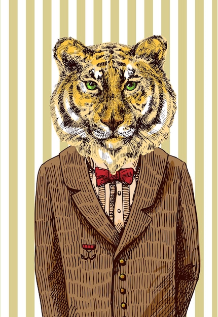 Vector tiger in jacket