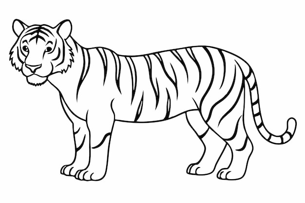 Tiger line art