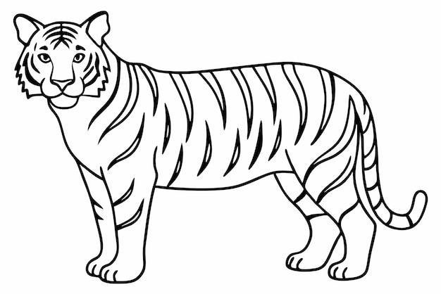 Tiger line art