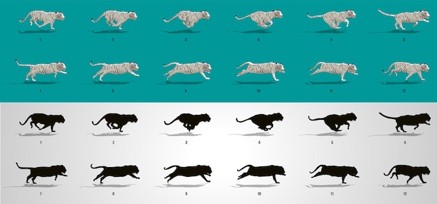 Tiger run cycle animation sequence