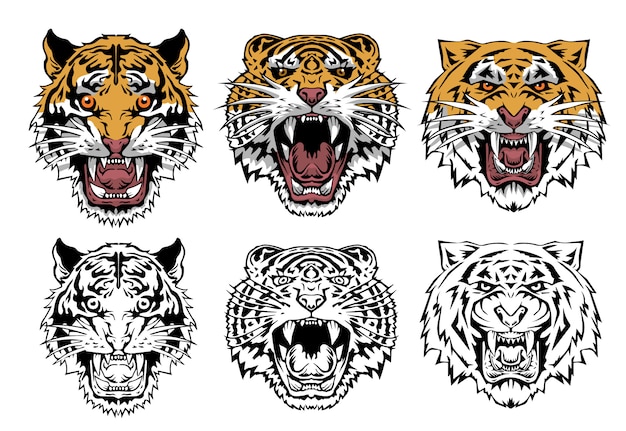 Tiger  set collection  