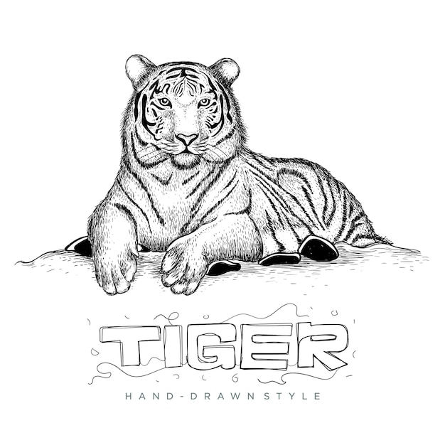 tiger sitting relaxing, illustration of animal in hand drawing