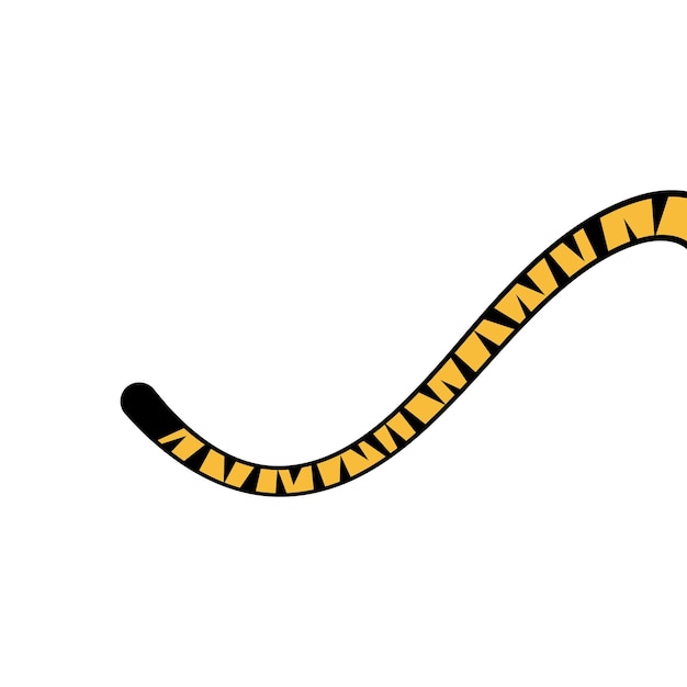 Tiger tail blank space