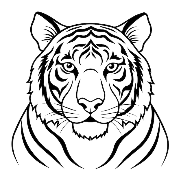 a tiger that has a black and white face