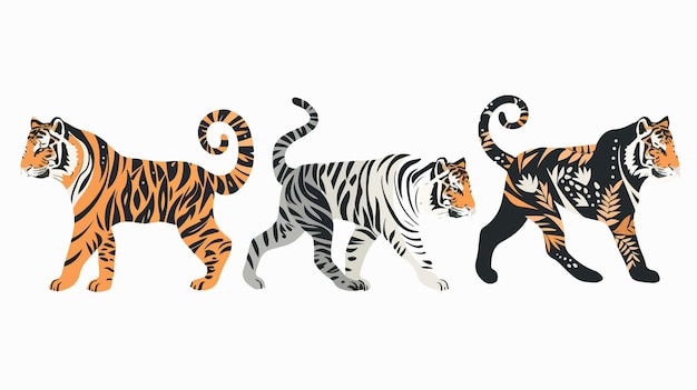 a tiger and tiger are on a white background