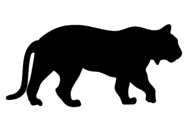 Tiger vector silhouette illustration isolated on white background. Walking Tiger silhouette side view. Big wild cat. Tattoo sign.