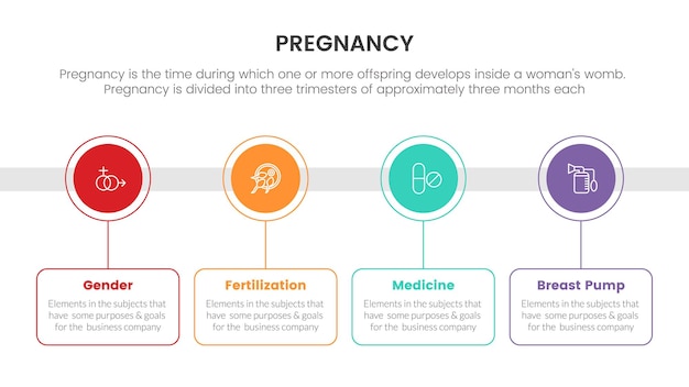 Timeline of circle information for pregnant or pregnancy infographic concept for slide presentation with 4 point list