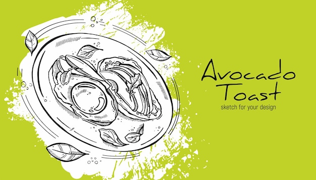 Toast with avocado and egg basil leaves plate Breakfast time Handdrawn sketch