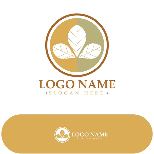 Tobacco leaf logotobacco field and tobacco cigarette logo template design vector