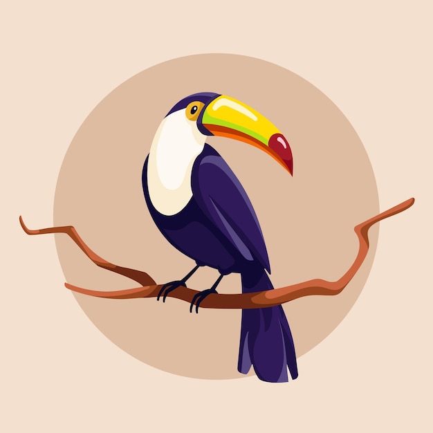 Toco toucan sitting on branch Tropical bird Beautiful toucan bird Colorful vector