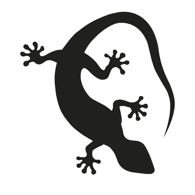 Tokay gekko silhouette isolated on white background