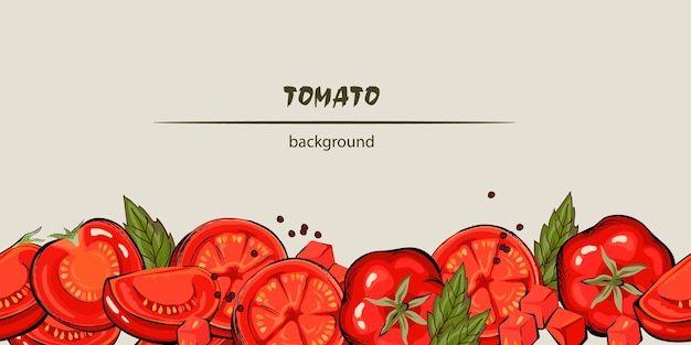 Vector tomato and basil seamless background or decorative lower border of frame hand drawn vector illustration isolated on background organic food and italian cuisine frame with tomato vegetables