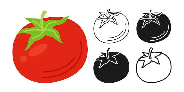 Tomato cartoon linear symbol set doodle style silhouette fresh vegetable icon organic food design