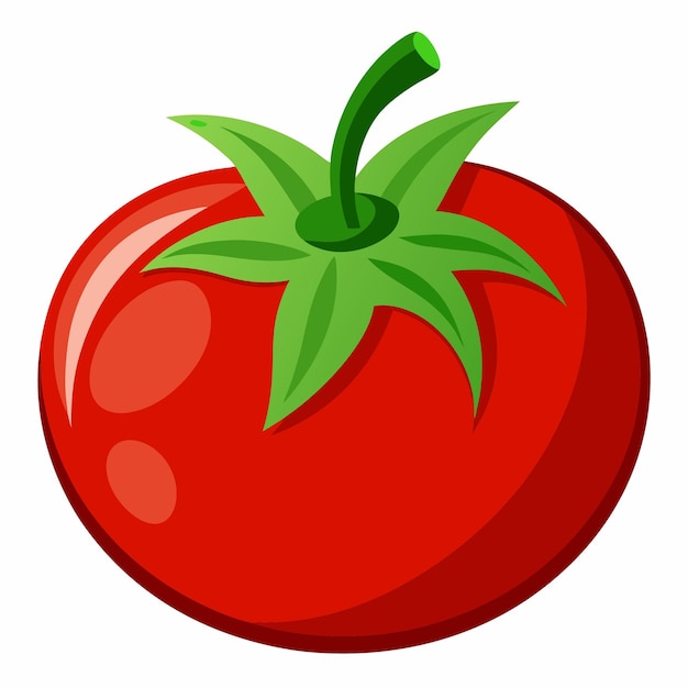 Tomato clipart cartoon style vector illustration