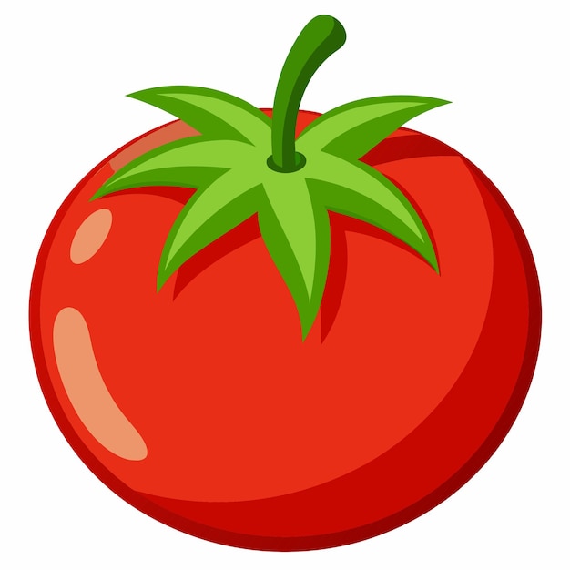 Tomato clipart cartoon style vector illustration