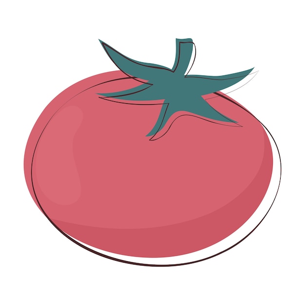 Tomato doodle