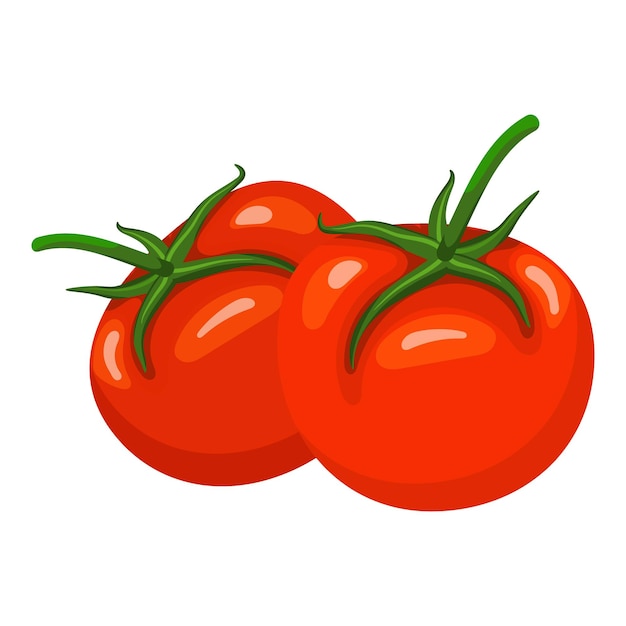 Tomato fruit isolated on a white background