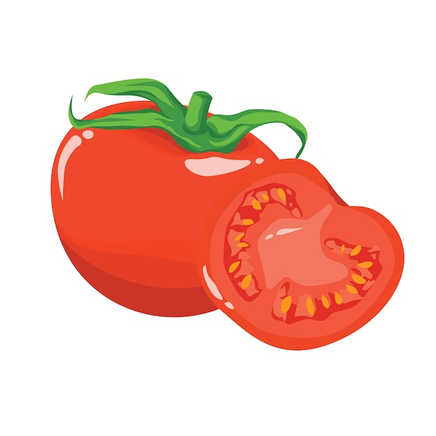 Tomato Fruit Red Realistic Vector