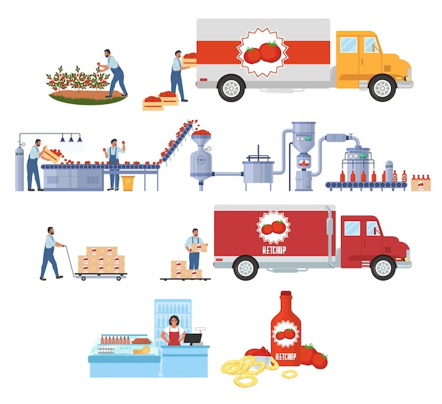 Vector tomato ketchup production vector infographic. harvesting. tomato sauce processing and manufacturing plant. food industry