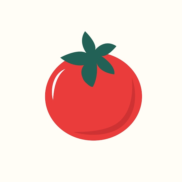 tomato tomato vector illustration isolated on white background