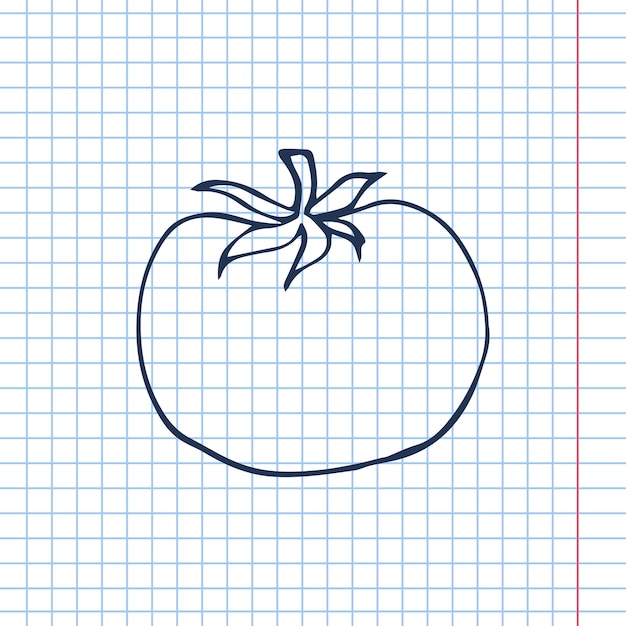 tomato vector scetch