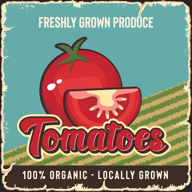 Tomato vintage vegetable market advertising poster vector template