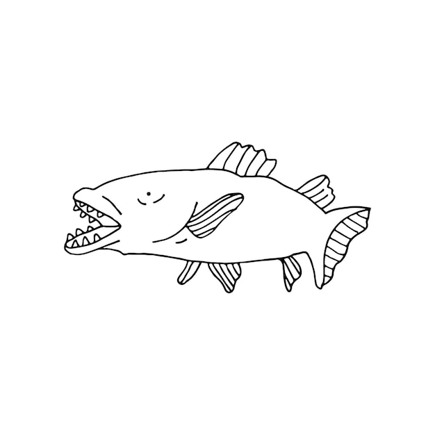 Vector toothfish an aquatic vertebrate sea world doodle vector illustration hand drawn outline