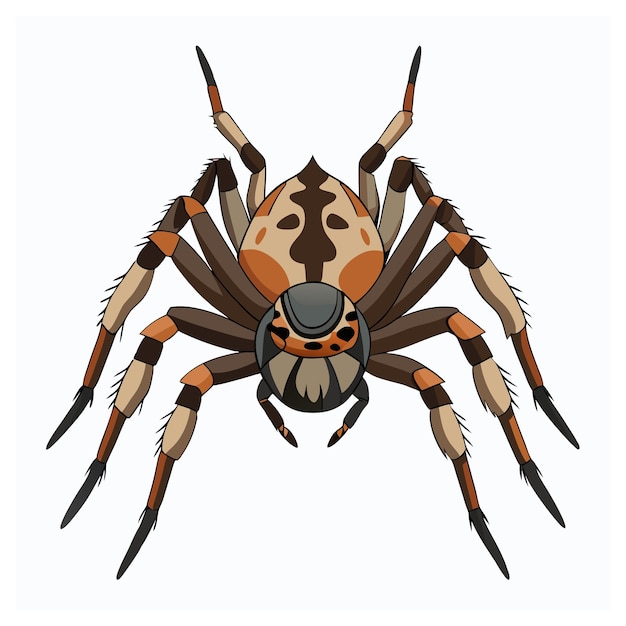 Vector top view of a brown recluse spider with its iconic violin marking