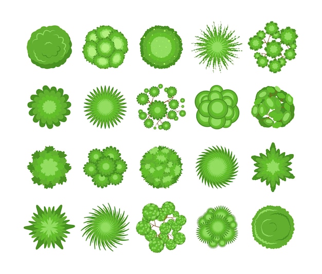 Top view of green trees and bushes vector illustrations set. Plant elements for garden, forest or park plan or map from birdseye view isolated on white background. Ecology, landscape design concept