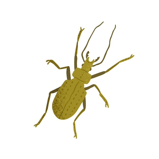 Top view of ground beetle with horns, long legs and antennae. Green insect isolated on white background. Colored flat textured vector illustration of bug.